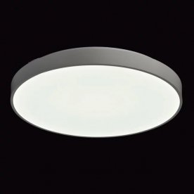 Потолочный светильник Ривз 674013101