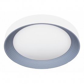 Накладной светильник Ruinas OML-48407-60