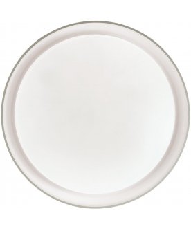 Настенно-потолочный светильник BIONIC 3030/DL