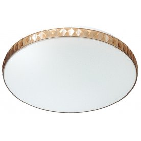 Настенно-потолочный светильник Dina 2078/DL