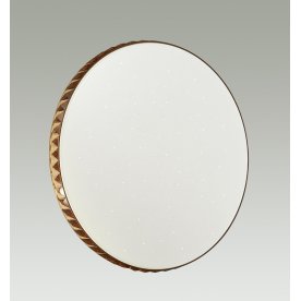 Настенно-потолочный светильник Dina 2078/DL