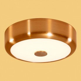 Настенно-потолочный светильник Фостер-1 CL706112