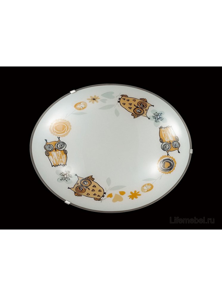 Настенно-потолочный светильник Ovi 2067/DL