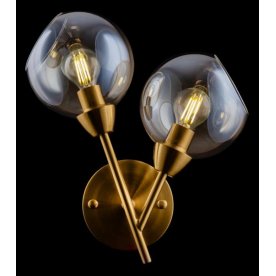 Настенный светильник FR5121WL-02G