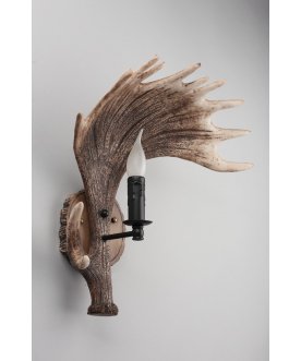 Настенный светильник OML-52201-01