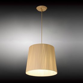 Подвесной светильник Correto OML-62506-01