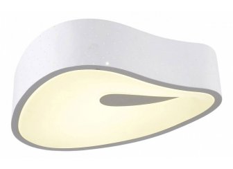 Потолочный светильник OML-455 OML-45507-25