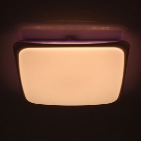 Потолочный светильник Ривз 674014501