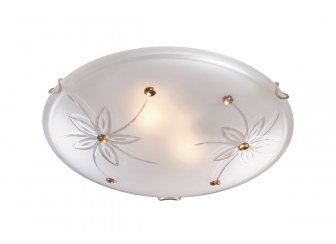 Накладной светильник Floret 149