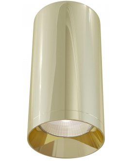 Потолочный светильник C010CL-01G