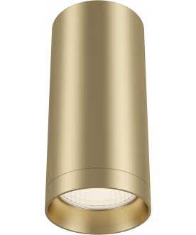 Потолочный светильник C010CL-01MG