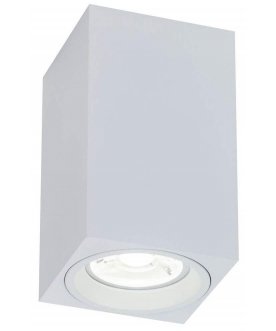 Потолочный светильник C011CL-01W