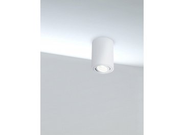 Потолочный светильник C016CL-01W