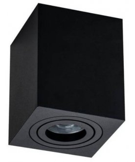 Потолочный светильник C017CL-01B