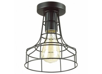 Потолочный светильник Alfred 3639/1C