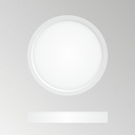 Потолочный светильник Бейсик CL738120N