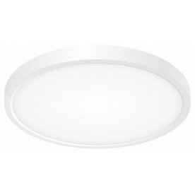 Потолочный светильник Бейсик CL738240V