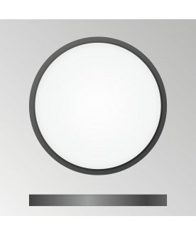 Потолочный светильник Бейсик CL738241V