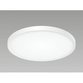 Потолочный светильник Бейсик CL738320V