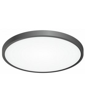 Потолочный светильник Бейсик CL738321V