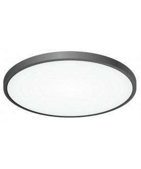 Потолочный светильник Бейсик CL738401V