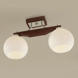 Потолочный светильник Ариста CL164321