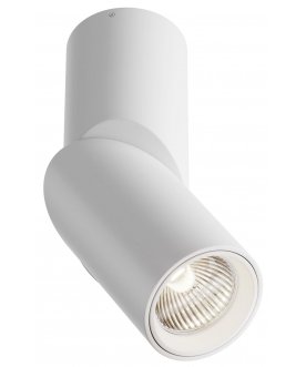 Потолочный светильник Dafne C027CL-L10W4K