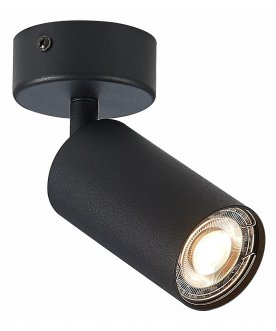 Потолочный светильник ST303.402.01