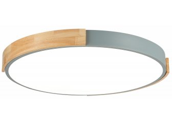 Потолочный светильник SLE201372-01