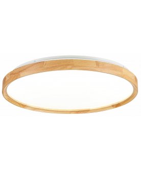 Потолочный светильник SLE201382-01