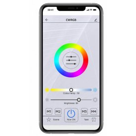 Потолочный светильник CL713A10G