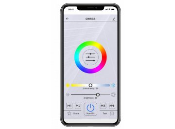 Потолочный светильник CL713A10G