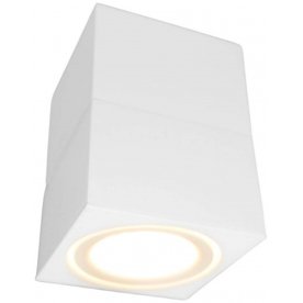 Потолочный светильник LDC 8056-GYN-10WCOB D100*W110 WT