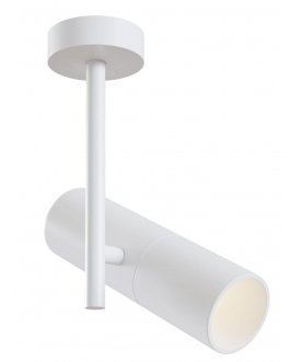 Потолочный светильник Elti C020CL-01W