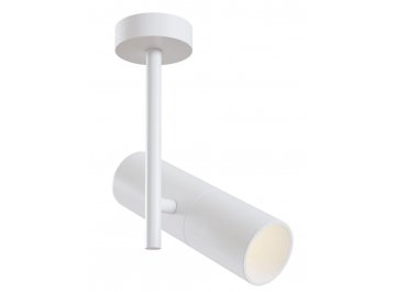 Потолочный светильник Elti C020CL-01W