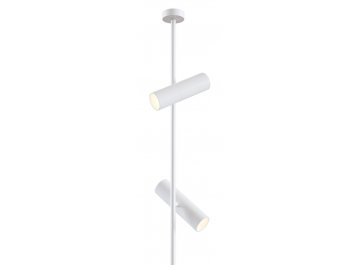 Потолочный светильник Elti C021CL-02W