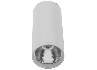 Потолочный светильник 08570-12,01