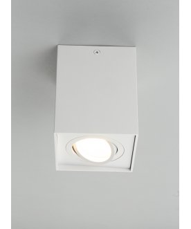 Потолочный светильник Feletto OML-101109-01