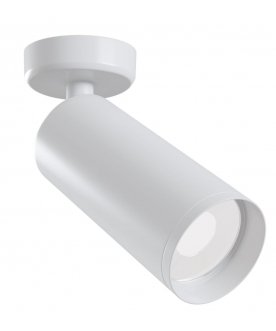 Потолочный светильник Focus C017CW-01W