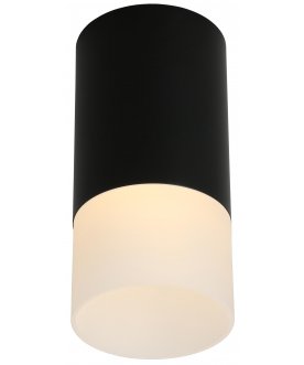 Потолочный светильник Lucido OML-100619-01