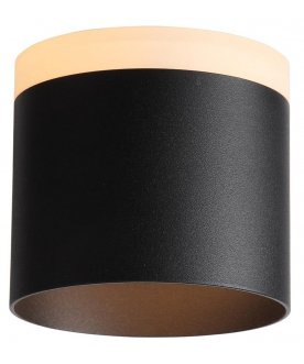 Потолочный светильник Panaggio