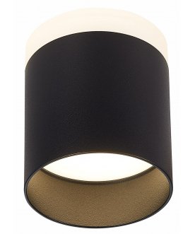 Потолочный светильник ST102.442.12