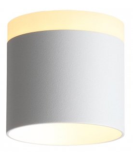 Потолочный светильник Panaggio