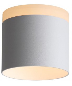 Потолочный светильник Panaggio