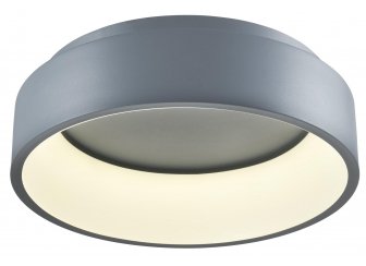 Потолочный светильник V2284-CL