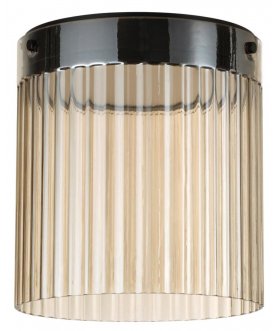 Потолочный светильник 5047/20LC