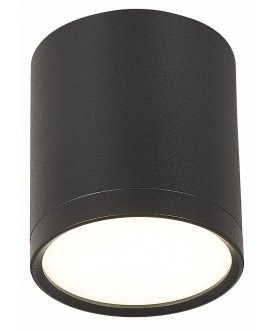 Потолочный светильник ST113.442.05