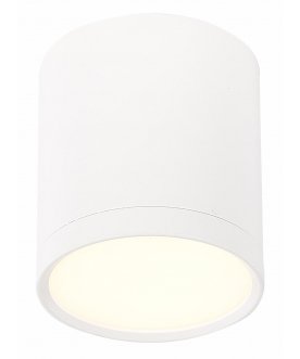 Потолочный светильник ST113.532.05