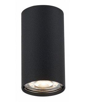 Потолочный светильник ST110.407.01