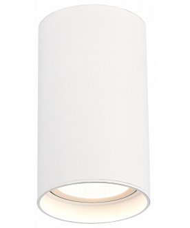 Потолочный светильник ST157.532.20